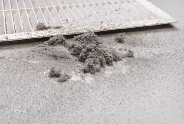 Best Affordable Duct Cleaning Services  in Ashland, NJ