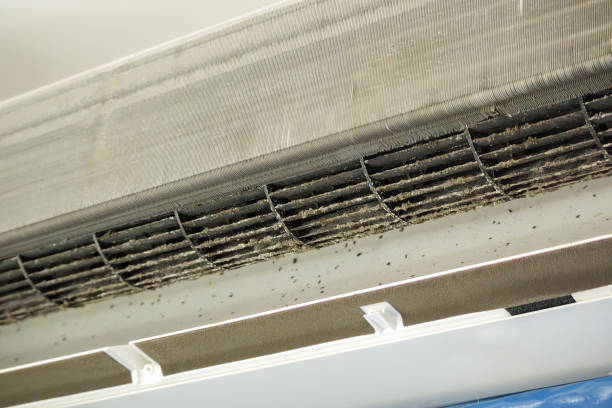 Best Ductwork Cleaning Services  in Ashland, NJ